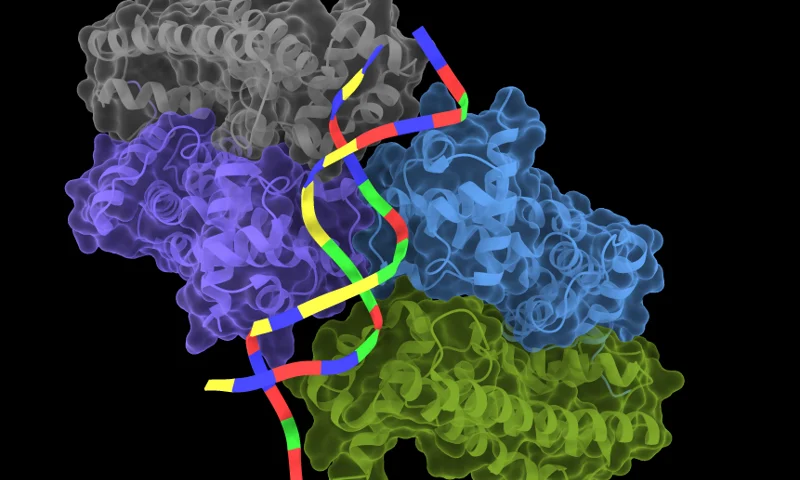 Boltz-2 (AlphaFold3)